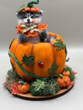 Miniature Gray Raccoon 2