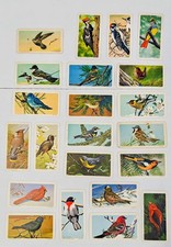 Brooke Bond Red Rose Songbirds 1966 Canadian/American Lot of 29 Mixed Cards picture