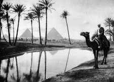 An oasis near Cairo, Egypt, c1920s Old Photo picture