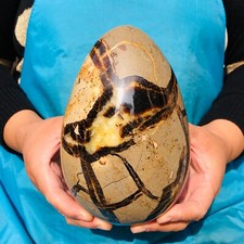 5.5LB Top Natural Dragon Septarian Crystal geode Quartz egg mineral Specimen picture