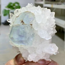 364G Natural Rare transparent green cubic fluorite crystal sample/China picture