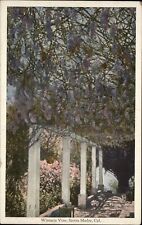 Wisteria vine  Sierra Madre California ~ DPO LA Arcade Station 6 1925 postcard picture