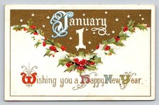 1917 January 1 New Year Postcard Holly Berries Embossed Vintage picture