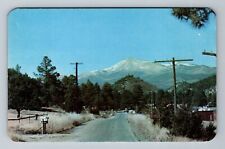 Ruidoso Highway NM-New Mexico White Mountain Antique Vintage Souvenir Postcard picture