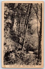 1928 Buck Hill Falls Pennsylvania PA Vintage Postcard Path Lower Glen Posted picture