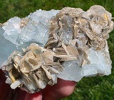 Aquamarine Crystal Garden on Muscovite picture