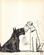 Vintage Fox & Scottish Terrier Kissing Print 1930s Illustration by Zito 6499p picture