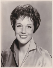 1965 Press Photo Actress and Singer Julie Andrews Poses for Publicity Portrait picture