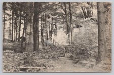 Trail to Lake Wentworth, Birchmont, East Wolfeboro, New Hampshire 1940 RPPC picture
