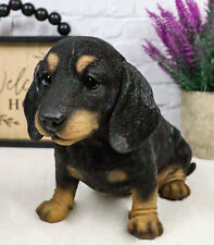 Realistic Black And Tan Dachshund Puppy Statue 8