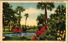 FL-Florida, A Colorful Tropical Beauty Spot In Florida Vintage Souvenir Postcard picture