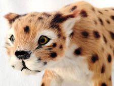 VINTAGE SPOTTED CAT FAUX TAXIDERMY CREATION WALL DISPLAY REAL FUR picture