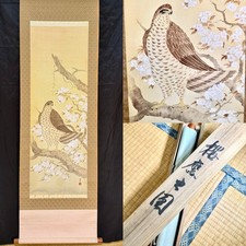Japanese Hanging Scroll 笹雲 Falcon Hawk Cherry Blossom Hand Painted Silk Kakejiku picture