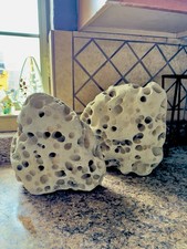 Rocks For Sale HAG STONES~25 lbs each   PAIR SELLS FOR 250.OO picture