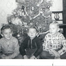 c1950s Three Boys Christmas Tree Deckle Edge Snapshot Photo Season's Greetings picture