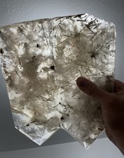 Epidote-Included Quartz  - Circa 1900 - Origin Brazil  picture