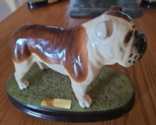 Beswick Bulldog CH Basford British Champion Mascot #10 on Plinth 10x7 picture