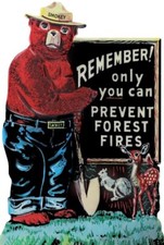 Smokey the Bear Only You Can Prevent Fires NEW Sign 36
