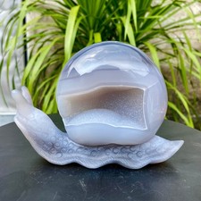 1.63LB Natural agate geode quartz crystal engrave snail skull healing gift decor picture