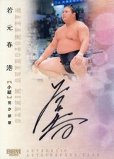BBM / Special Insert Card / Autograph Card / BBM 2025 Sumo Card [Special Insert picture