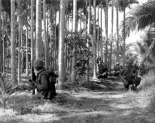 Soldiers conduct a search and sweep mission 8x10 Vietnam War on patrol Photo 812 picture