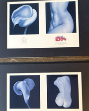 VTG Carefree Feminine Care 2 Advertising Presentation Boards J&J Archive picture