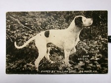 BIG MOOSE NY  DARTS CAMP DOG INLET NY BEACH RPPC  = ADIRONDACKS FULTON CHAIN = picture
