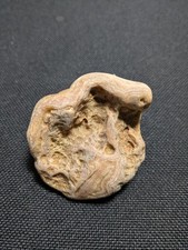 Natural Crowley's Ridge agate picture