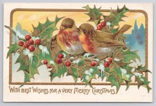 Antique Christmas Postcard Two Robins on Snowy Holly Gold Border Ser B 1909 picture