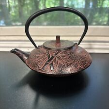 Vintage Japanese Cast Iron Tetsukyusu TeaPot With Strainer And Lid Bamboo Design picture