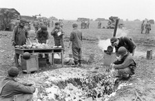 WW2 WWII Photo World War Two / US Army 5th Armored Division Germany 1945 picture
