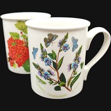Portmeirion Pomona & Botanic Garden Coffee Mug - 10oz Red Currant & Speedwell picture