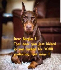Doberman  dog refrigerator magnet 3 1/2