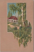 Cottage Riverton Nebraska NE Garden Birch Tree Fence Path Embossed 1908 Postcard picture