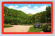 Great Smoky Mountains National Park, The Turn, Series #562, Vintage Postcard picture
