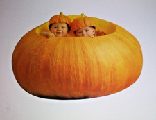 Vintage Anne Geddes Babies Inside of Pumpkin Postcard 1996 picture