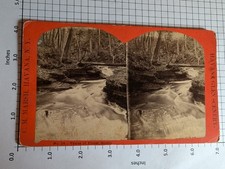 11.Large Format, Havana Glen Scenery, Venus Forest Grotto, Havana, NY, C M Marsh picture