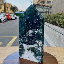 Natural aquatic plant Multi pointed water grass moss agate - 6.6LB picture