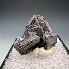 Chalcocite, M'Passa Mine, Mindouli, Pool Dept, Republic of the Congo picture