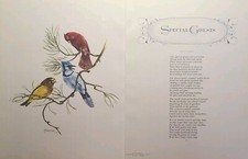 Birds Print Special Guests Poem Cardinal Jay Winter Vintage Magazine Print 1969 picture