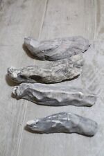 Lot of 4  Oyster Shells crafts 4