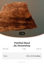 petrafied natural wood tx picture