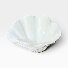 Authentic Vintage Fluted Giant Clam Shell Bowl 9