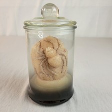 Threshold Halloween Spider Smoky Ombre Candle Color Changing Jar Unscented w Lid picture
