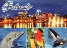 Skyline Orlando Florida at Night, Dolphin Orca Whale Parrot Water FL -- Postcard picture
