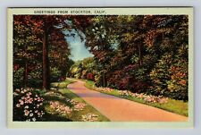 Stockton CA-California, Scenic General Greetings, Antique, Vintage Postcard picture