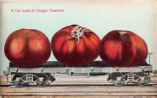 Exaggeration Train Railroad Oregon Tomatoes Southern Pacific Vtg Postcard A64 picture