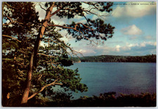 c1960s Superior National Forest Minnesota 10