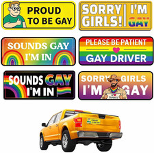 6PCS Gay Pride Funny Magnet Bumper Sticker, LGBTQ Rainbow Car Decals Prank Car picture