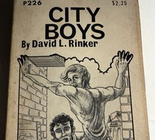 CITY BOYSQ -1972 DAVID L RINKER - PARISIAN PRESS VINTAGE PULP NOVEL GAY INTEREST picture